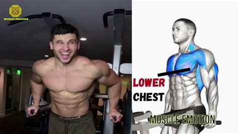 Top Inner Lower And Upper Chest Workout At Gym Meilleurs Exs