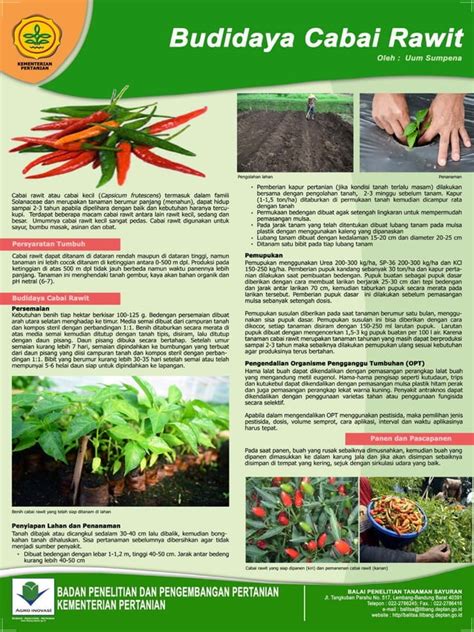 Poster Budidaya Tanaman Hortikultura | PDF