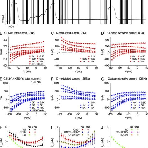 Ko Sensitivity Of Na K Pumpmediated Currents In Nai Loaded Oocytes