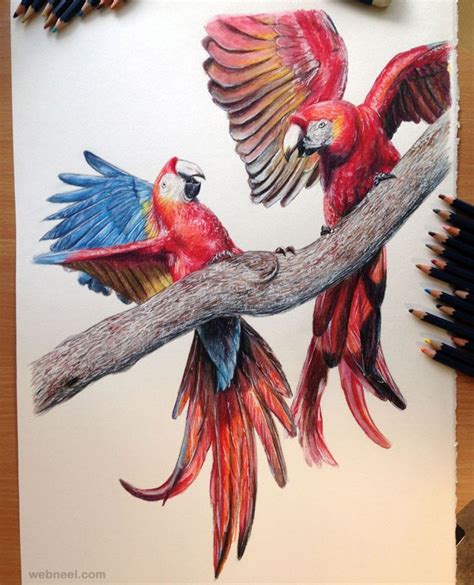 30 Beautiful Bird Drawings and Art works for your inspiration. Read ...