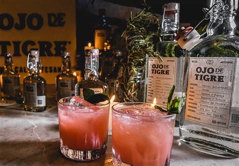 Arriba 86 Imagen Recetas Cocteles Con Mezcal Abzlocal Mx