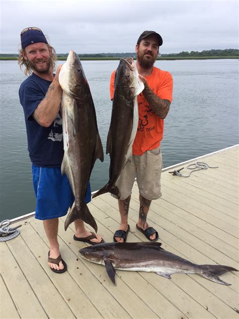 Wrightsville Beach NC Fishing Forecast June 2016 Wrightsville Beach