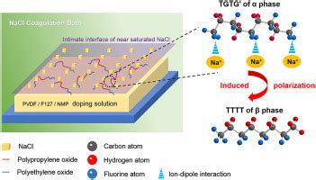 Characteristics And Performance Of PVDF Membrane Prepared By Using NaCl