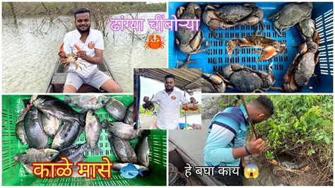 बिळातून खणून काडल्या चींबोऱ्या🦀 आणि जाळाला भेटले मासे Mud Crab