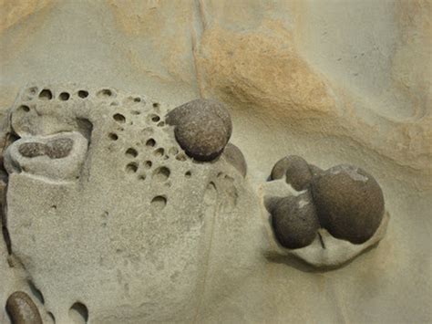 What On Earth Is A Concretion Pacific Northwest Adventures