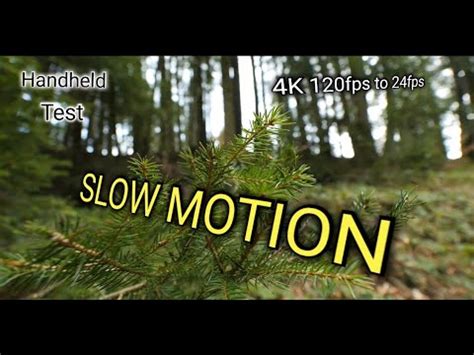 Handheld Slow Motion Test 4K 120fps To 24fps With Panasonic Lumix GH6