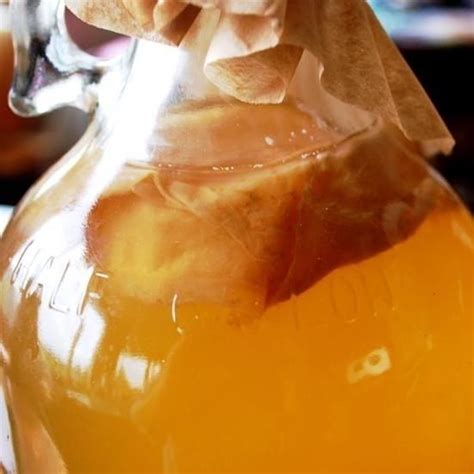 Growing Your Own Kombucha Scoby Symbiotic Colony Of Bacteria And Yeast