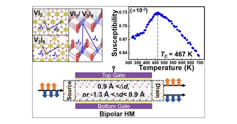 Theoretical Investigation On Tunable Bipolar Ferromagnetic Half