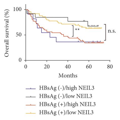 Kaplanmeier Survival Curves According To Neil3 Expression In Hcc Download Scientific Diagram