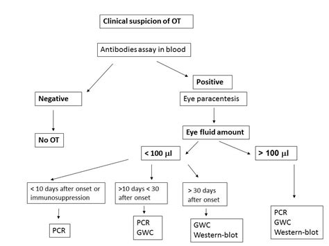 Risk Factors Pathogenesis And Diagnosis Of Ocular Toxoplasmosis