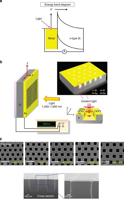 DTTMSchottky Photodetector A Plasmonic Device Possessing The DTTM