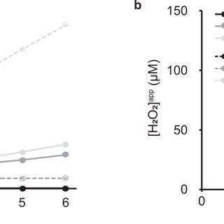 Lpmo Catalyzed Depolymerization Of Cellulose Using Kraft Lignin As