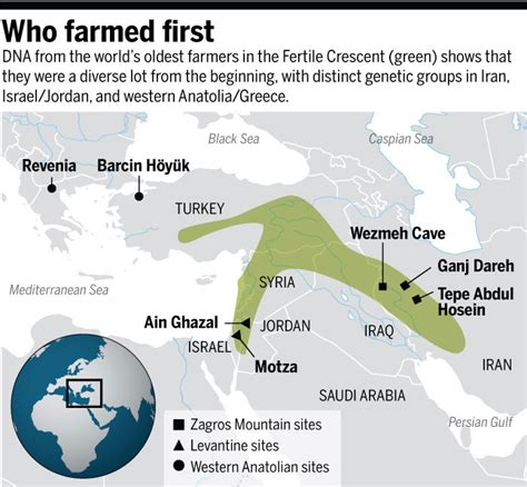 First World Farmers Came From The Fertile Crescent Area