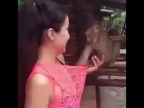 VID 20170617 WA0001 XVIDEOS