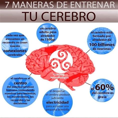 Como Entrenar A Tu Cerebro Para Que Recuerde Cualquier Cosa