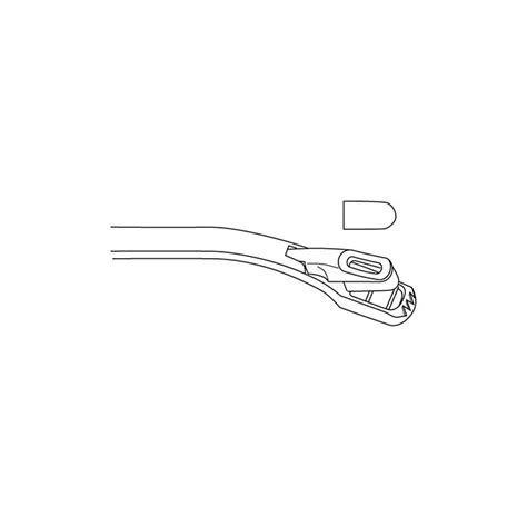 Wittner Biopsy Forceps Tontarra Extranet