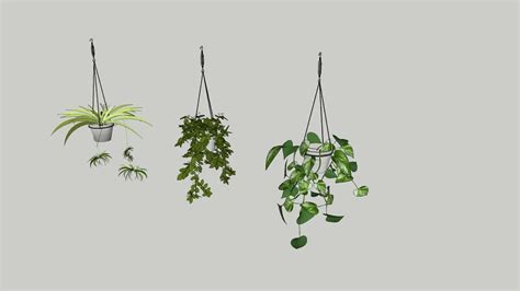 Hang Planter 3d Warehouse