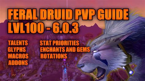 WoD 6 0 3 Feral Druid PvP Guide Talents Glyphs Macros Rotation Addons