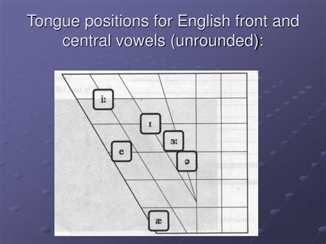 PPT Unit 5 English Front Vowels Central Vowels PowerPoint