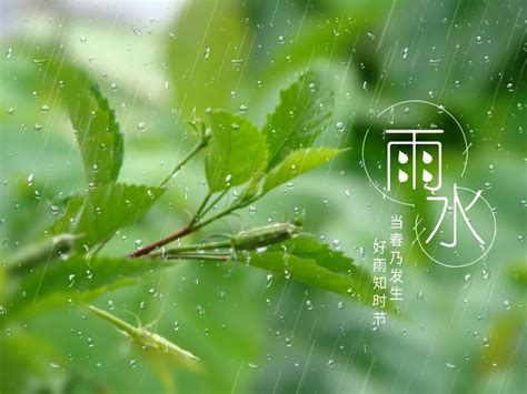 二十四节气之雨水诗词