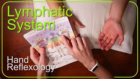 Reflexology For Lymph Nodes