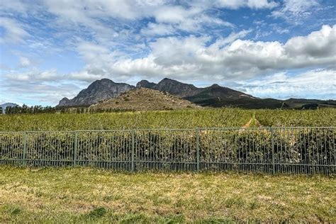 Franschhoek Wine Tram The Essential Guide Wanderlust Welsh