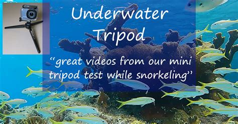 Use An Underwater Tripod For Great Fishy Snorkeling Videos