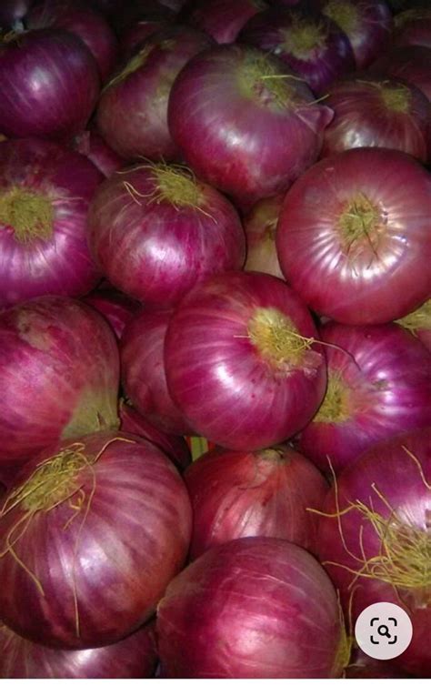 Nashik Maharashtra 5 Kg A Grade Small Red Onion Onion Size 30 Mm At