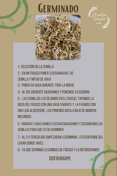 Alimentos Germinados Beneficios Y Propiedades Artofit