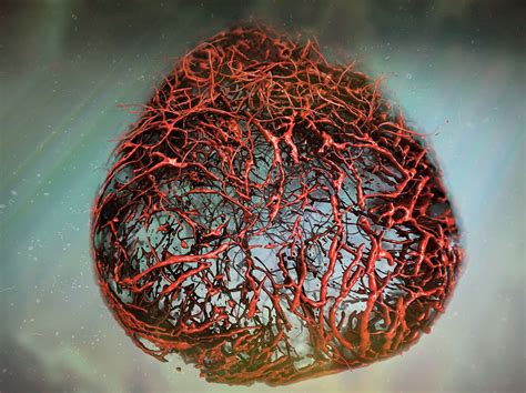 Deciphering Diabetes With Human Blood Vessels From Stem Cells