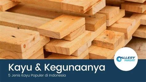 Jenis Kayu Dan Kegunaannya Di Bidang Furnitur