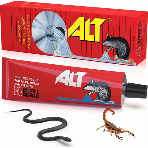 10 Best Snake Traps 2020 | Insect Hobbyist