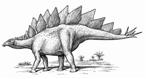 Stegosaurus Sketch At Explore Collection Of