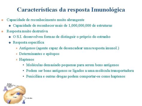 Porqu Estudar A Imunologia Dr Fabrcio Prado Monteiro