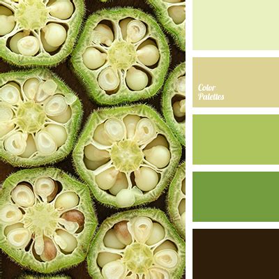 green fern color | Color Palette Ideas