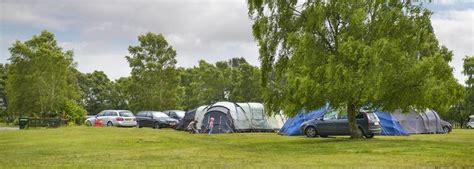 Holmsley Camping in the Forest - Adventure Campsites