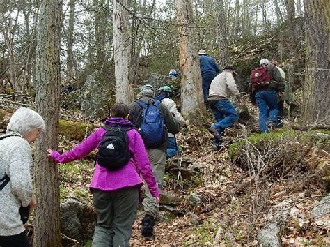 Mianus River Gorge Hike It S Spring The Club Fit Hiking C Flickr