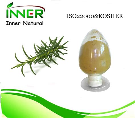 Natural Rosemary Leaf Extract Powder Ursolic Acid 25 ~98 Rosemary Leaves Extract And