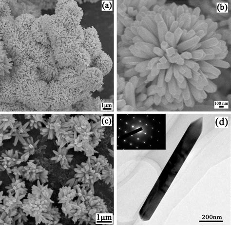 Figure 1 From Synthesis And Ethanol Sensing Properties Of Flowerlike