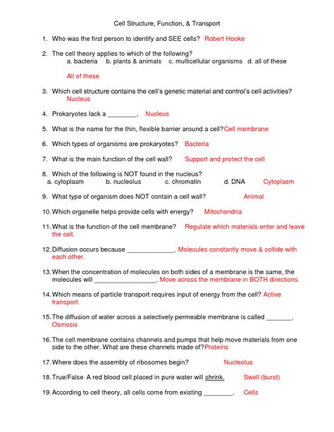 Cell Membrane Structure And Function Worksheet Answer Key Pdf