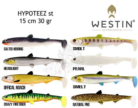 Westin Hypoteez St Az Shop