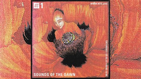 SOTD On NTS 101 New Age Ambient World Electronic Synth