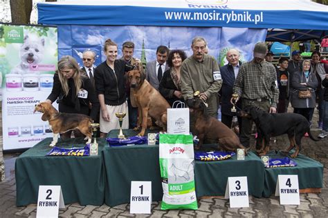 XXXV Krajowa Wystawa Psów Rasowych 7 05 2017