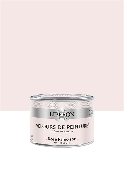 Velours De Peinture Couleur Rose P Moison Lib Ron