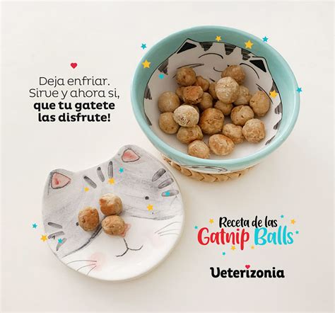 Introducir Imagen Recetas De Comida Para Gatos Casera Abzlocal Mx