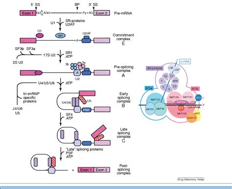 Figure From The Development And Application Of Small Molecule