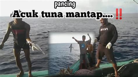 Pancing Acuk Tuna Mengunggah Selera Makan Ikan YouTube