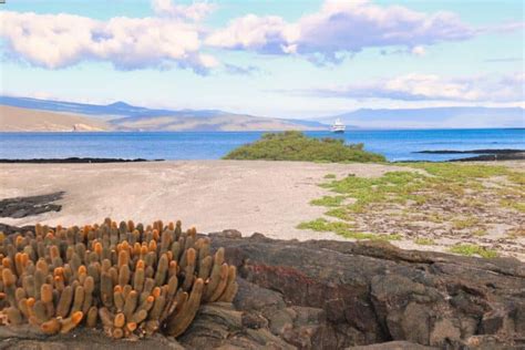 Cosa Vedere Alle Isole Galapagos Tutto Quello Che Devi Sapere