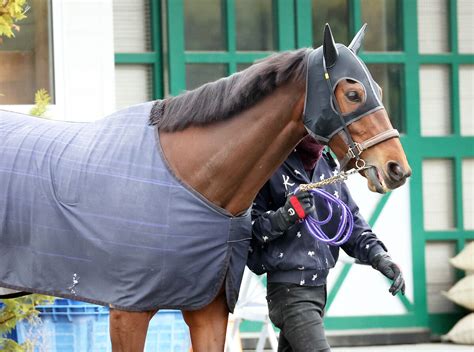 【注目馬動向】有馬記念4着イズジョーノキセキはドバイ・ターフか阪神牝馬sへ Umatoku 馬トク