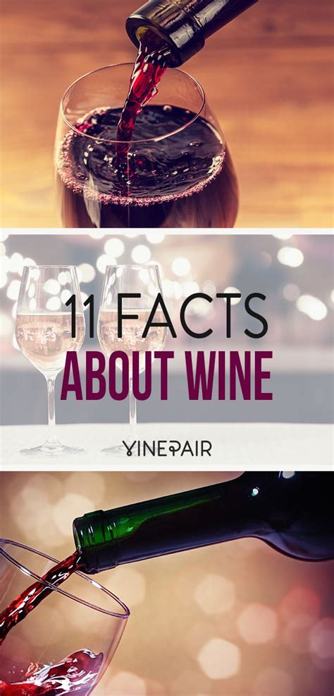 Wine Facts Artofit